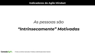 Indicadores do Agile Mindset
As pessoas são
“Intrinsecamente” Motivadas
 