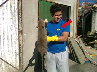 Social Media - 2Minds Web Marketing e Inteligencia Digital