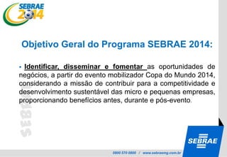 Copa das Confederações – 2013