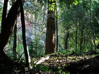 XI Congresso e Feira de Educação SABER 2007
 
