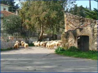 XI Congresso e Feira de Educação SABER 2007
 