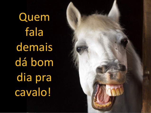 Resultado de imagem para foto quem muito fala da bom dia a cavalo