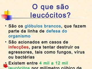 O que são
leucócitos?
• São os glóbulos brancos, que fazem
parte da linha de defesa do
organismo
• São acionados em casos de
infecções, para tentar destruir os
agressores, tais como fungos, vírus
ou bactérias
• Existem entre 4 mil a 12 mil

 