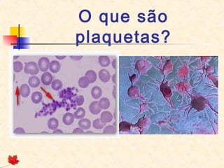 O que são
plaquetas?

 