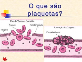 O que são
plaquetas?

 