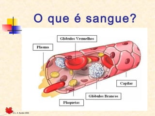 O que é sangue?

©

L. A. Burden 2005

 