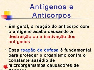 Antígenos e
Anticorpos
• Em geral, a reação do anticorpo com
o antígeno acaba causando a
destruição ou a inativação dos
antígenos
• Essa reação de defesa é fundamental
para proteger o organismo contra o
constante assédio de
microorganismos causadores de

 