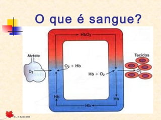 O que é sangue?

©

L. A. Burden 2005

 