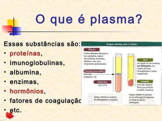 O que é plasma?
Essas substâncias são:
• proteínas,
• imunoglobulinas,
• albumina,
• enzimas,
• hormônios,
• fatores de coagulação
• etc.

 