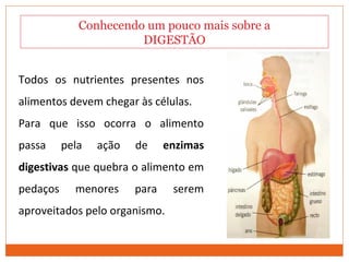 Conhecendo um pouco mais sobre a
DIGESTÃO
Todos os nutrientes presentes nos
alimentos devem chegar às células.
Para que isso ocorra o alimento
passa pela ação de enzimas
digestivas que quebra o alimento em
pedaços menores para serem
aproveitados pelo organismo.
 