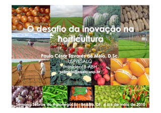 O desafio da inovação na
           horticultura
            Paulo César Tavares de Melo, D.Sc.
                       USP/ESALQ
                     Presidente ABH
                      pctmelo@esalq.usp.br




Semana Sebrae do Agronegócio - Brasília, DF, 4 a 6 de maio de 2010
 