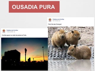 OUSADIA PURA 
 