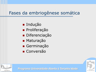 Fases da embriogênese somática

         Indução
         Proliferação
         Diferenciação
         Maturação
         Germinação
         Conversão



   Programa Universidade Aberta à Terceira Idade
 