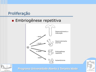 Proliferação
   Embriogênese repetitiva

                                 Desenvolvimento e
                                 maturação




                                 Desenvolvimento
                                 anormal




                                 Embriogênese
                                 repetitiva




                                 Autoembrionia




     Programa Universidade Aberta à Terceira Idade
 