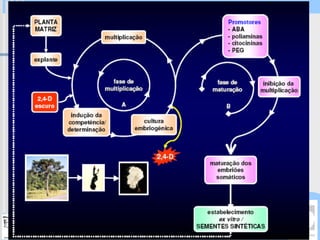 Programa Universidade Aberta à Terceira Idade
 