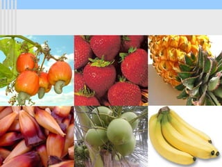 Programa Universidade Aberta à Terceira Idade
 