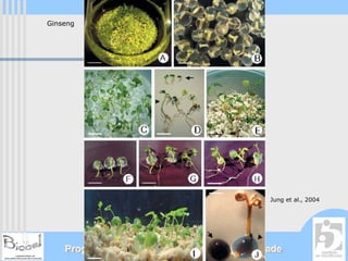 Ginseng




                                              Jung et al., 2004




    Programa Universidade Aberta à Terceira Idade
 