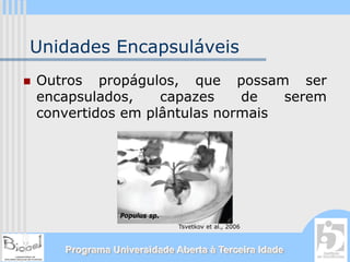 Unidades Encapsuláveis
Outros propágulos, que possam ser
encapsulados,    capazes    de   serem
convertidos em plântulas normais




              Populus sp.
                            Tsvetkov et al., 2006



   Programa Universidade Aberta à Terceira Idade
 