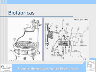 Biofábricas




    Programa Universidade Aberta à Terceira Idade
 