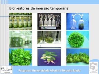 Biorreatores de imersão temporária




     Programa Universidade Aberta à Terceira Idade
 