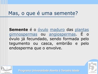 Mas, o que é uma semente?


Semente é o óvulo maduro das plantas
gimnospermas ou angiospermas. É o
óvulo já fecundado, sendo formada pelo
tegumento ou casca, embrião e pelo
endosperma que o envolve.




    Programa Universidade Aberta à Terceira Idade
 