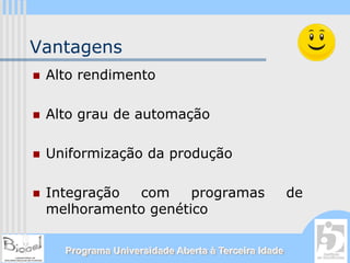 Vantagens
 Alto rendimento

 Alto grau de automação

 Uniformização da produção

 Integração com     programas                      de
 melhoramento genético

   Programa Universidade Aberta à Terceira Idade
 