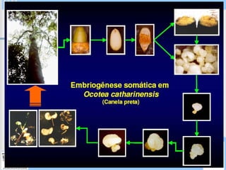 Programa Universidade Aberta à Terceira Idade
 