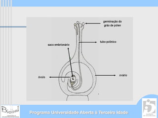 Programa Universidade Aberta à Terceira Idade
 