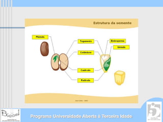 Programa Universidade Aberta à Terceira Idade
 