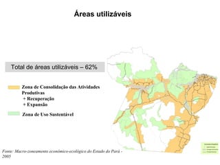 Fonte: Macro-zoneamento econômico-ecológico do Estado do Pará - 2005 Áreas utilizáveis Total de áreas utilizáveis – 62%  Zona de Consolidação das Atividades  Produtivas + Recuperação + Expansão Zona de Uso Sustentável 