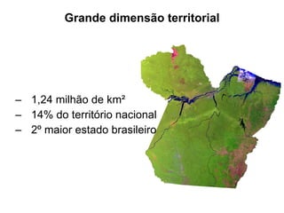 1,24 milhão de km² 14% do território nacional 2º maior estado brasileiro Grande dimensão territorial 