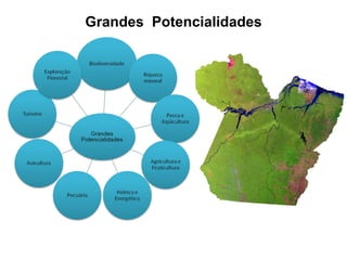 Grandes  Potencialidades 