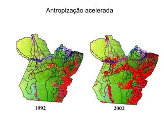 Antropização acelerada 1992 2002 