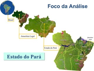 Foco da Análise Estado do Pará Brasil Amazônia Legal Estado do Pará 