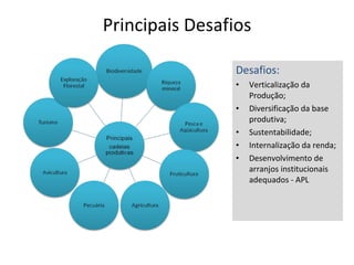 Principais Desafios Desafios: Verticalização da Produção; Diversificação da base produtiva; Sustentabilidade; Internalização da renda; Desenvolvimento de arranjos institucionais adequados - APL 