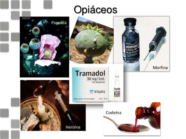 O que com pulmões depois deixou de fumar