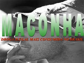 DROGA ILEGAL MAIS CONSUMIDA NO BRASIL
 