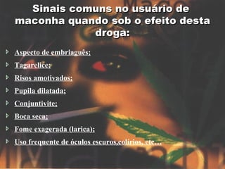 Sinais comuns no usuário de
maconha quando sob o efeito desta
            droga:
Aspecto de embriaguês;
Tagarelice;
Risos amotivados;
Pupila dilatada;
Conjuntivite;
Boca seca;
Fome exagerada (larica);
Uso frequente de óculos escuros,colírios, etc…
 