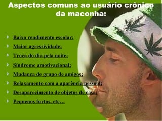 Aspectos comuns ao usuário crônico
           da maconha:


 Baixo rendimento escolar;
 Maior agressividade;
 Troca do dia pela noite;
 Síndrome amotivacional;
 Mudança de grupo de amigos;
 Relaxamento com a aparência pessoal;
 Desaparecimento de objetos de casa;
 Pequenos furtos, etc…
 