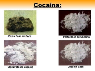 Cocaína:




Pasta Base de Coca                 Pasta Base de Cocaína




Cloridrato de Cocaína                 Cocaína Base
 