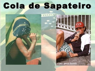Cola de Sapateiro
 