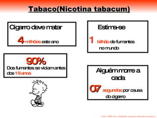 Tabaco(Nicotina tabacum)

 Cigarro deve mata
               atar                Estima-se

    4 milhões este ano         1   bilhão de fumantes
                                    no m undo


        90%
Dos fumantes se viciam antes
dos 19 anos
                                   Alguém m orre a
                                        cada
                               07 segundos por causa
                                        do cigarro



                                    Fonte: OMS; Inca; Helpfumo; psiquiatra Ronaldo Laranjeira
 