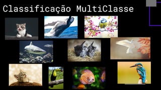 Classificação MultiClasse
 