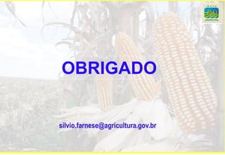 OBRIGADO


silvio.farnese@agricultura.gov.br
 