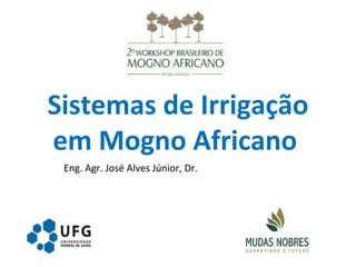 Sistemas de Irrigação
em Mogno Africano
Eng. Agr. José Alves Júnior, Dr.
 