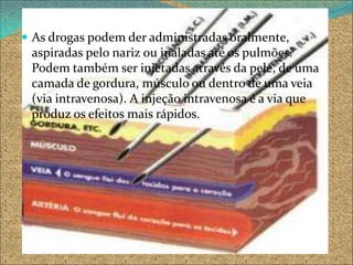  As drogas podem der administradas oralmente,
 aspiradas pelo nariz ou inaladas até os pulmões.
 Podem também ser injetadas através da pele, de uma
 camada de gordura, músculo ou dentro de uma veia
 (via intravenosa). A injeção intravenosa é a via que
 produz os efeitos mais rápidos.
 