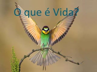 O que é Vida?
 