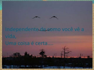 Independente de como você vê a
vida,
Uma coisa é certa....
 