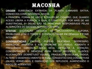 MACONHA
•   ORIGEM: SUBSTÂNCIA EXTRAÍDA DA PLANTA CANNABIS SATIVA,
    CONHECIDA COMO MACONHA, HAXIXE.
    A PRINCIPAL FORMA DE USO É ATRAVÉS DO CIGARRO, QUE QUANDO
    ACESO LIBERA A FUMAÇA, A QUAL É CONSTITUÍDA POR MAIS DE 400
    SUBSTÂNCIAS, 61 DELAS SÃO AS PRINCIPAIS RESPONSÁVEIS PELAS
    ALTERAÇÕES DO SISTEMA NERVOSO CENTRAL.
•   EFEITOS: EXCITAÇÃO SEGUIDA DE RELAXAMENTO, EUFORIA,
    PROBLEMAS COM O TEMPO E O ESPAÇO, FALAR EM DEMASIA E FOME
    INTENSA.
•   CONSEQUÊNCIAS:    PALIDEZ, PUPILAS   DILATADAS, DEPRESSÃO,
    ANSIEDADE, ANGÚSTIA E ATÉ SÍNDROME DO PÂNICO, AUMENTA A
    FREQUÊNCIA CARDÍACA, BOCA SECA, DIFICULTA A ATENÇÃO,
    CONCENTRAÇÃO E MEMÓRIA PARA FATOS RECENTES, ILUSÕES,
    ALUCINAÇÕES (SOBRETUDO VISUAIS), FRAQUEZA MUSCULAR, FADIGA,
    ALTERA O DESENVOLVIMENTO SEXUAL, CONGESTÃO DAS CONJUNTIVAS
    (OLHOS VERMELHOS) E DIMINUIÇÃO DOS REFLEXOS, AUMENTANDO O
    RISCO DE ACIDENTES.
 