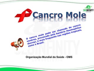 Organização Mundial da Saúde - OMS
 